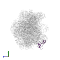 Large ribosomal subunit protein uL1 in PDB entry 6lsr, assembly 1, side view.