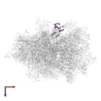Large ribosomal subunit protein uL1 in PDB entry 6lsr, assembly 1, top view.