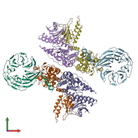 PDB entry 6lt0 coloured by chain, front view.