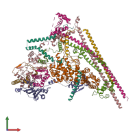 PDB entry 6lth coloured by chain, front view.