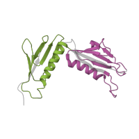 The deposited structure of PDB entry 6lu8 contains 2 copies of Pfam domain PF00347 (Ribosomal protein L6) in Large ribosomal subunit protein uL6. Showing 2 copies in chain R [auth I].