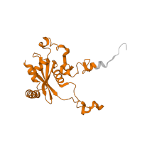 The deposited structure of PDB entry 6lu8 contains 1 copy of Pfam domain PF00827 (Ribosomal L15) in Large ribosomal subunit protein eL15. Showing 1 copy in chain BA [auth U].