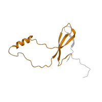 The deposited structure of PDB entry 6lu8 contains 1 copy of Pfam domain PF00935 (Ribosomal protein L44) in Large ribosomal subunit protein eL42. Showing 1 copy in chain DA [auth W].