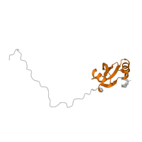 The deposited structure of PDB entry 6lu8 contains 1 copy of Pfam domain PF00276 (Ribosomal protein L23) in Large ribosomal subunit protein uL23. Showing 1 copy in chain MA [auth g].