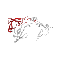 The deposited structure of PDB entry 6lu8 contains 1 copy of Pfam domain PF00181 (Ribosomal Proteins L2, RNA binding domain) in Large ribosomal subunit protein uL2. Showing 1 copy in chain SA [auth m].