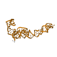 The deposited structure of PDB entry 6lu8 contains 1 copy of Rfam domain RF00001 (5S ribosomal RNA) in 5S ribosomal RNA. Showing 1 copy in chain E [auth 5].
