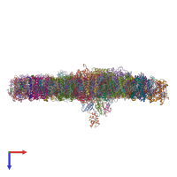 PDB entry 6ly5 coloured by chain, top view.