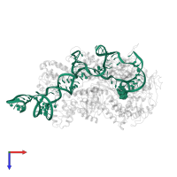 Single guide RNA (116-MER) in PDB entry 6mcc, assembly 1, top view.