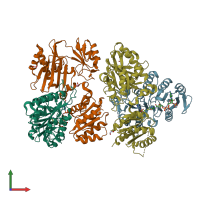 PDB entry 6mgg coloured by chain, front view.