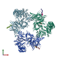 PDB entry 6mgq coloured by chain, front view.