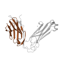 The deposited structure of PDB entry 6miy contains 2 copies of Pfam domain PF07686 (Immunoglobulin V-set domain) in Ig-like domain-containing protein. Showing 1 copy in chain B [auth D].