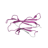 The deposited structure of PDB entry 6miy contains 2 copies of Pfam domain PF07654 (Immunoglobulin C1-set domain) in Beta-2-microglobulin. Showing 1 copy in chain D [auth B].