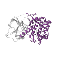 The deposited structure of PDB entry 6mm6 contains 2 copies of CATH domain 1.10.510.10 (Transferase(Phosphotransferase); domain 1) in cAMP-dependent protein kinase catalytic subunit alpha. Showing 1 copy in chain A [auth C].