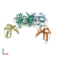 PDB entry 6mm6 coloured by chain, front view.