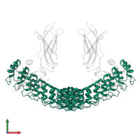 Dimeric DARPin ANR7 (A_distance_r7) in PDB entry 6mok, assembly 1, front view.