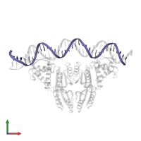 DNA (36-MER) in PDB entry 6mrj, assembly 1, front view.