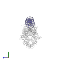 DNA (36-MER) in PDB entry 6mrj, assembly 1, side view.