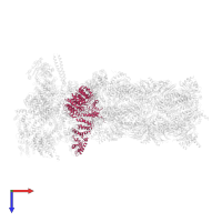 26S proteasome non-ATPase regulatory subunit 2 in PDB entry 6msb, assembly 1, top view.
