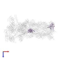 Proteasome subunit alpha type-2 in PDB entry 6msb, assembly 1, top view.