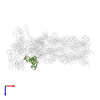 26S proteasome non-ATPase regulatory subunit 6 in PDB entry 6msb, assembly 1, top view.