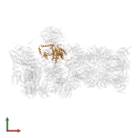 26S proteasome regulatory subunit 4 in PDB entry 6msj, assembly 1, front view.