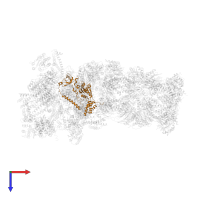 26S proteasome regulatory subunit 4 in PDB entry 6msj, assembly 1, top view.