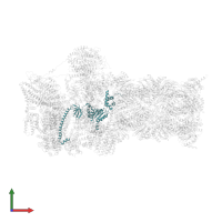 26S proteasome regulatory subunit 6A in PDB entry 6msj, assembly 1, front view.
