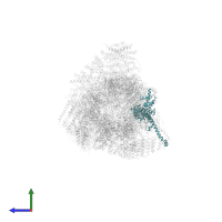 26S proteasome regulatory subunit 6A in PDB entry 6msj, assembly 1, side view.