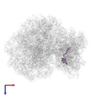 40S ribosomal protein S23 in PDB entry 6mtb, assembly 1, top view.