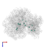 Modified residue OMC in PDB entry 6mtb, assembly 1, top view.