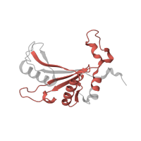 The deposited structure of PDB entry 6mtd contains 1 copy of Pfam domain PF00673 (ribosomal L5P family C-terminus) in Large ribosomal subunit protein uL5. Showing 1 copy in chain M [auth J].
