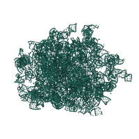 The deposited structure of PDB entry 6mtd contains 1 copy of Rfam domain RF02543 (Eukaryotic large subunit ribosomal RNA) in 28S ribosomal RNA. Showing 1 copy in chain A [auth 5].