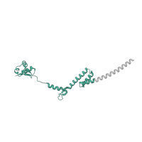 The deposited structure of PDB entry 6mtd contains 1 copy of Pfam domain PF01280 (Ribosomal protein L19e) in Large ribosomal subunit protein eL19. Showing 1 copy in chain T [auth R].