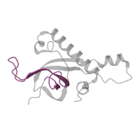 The deposited structure of PDB entry 6mtd contains 1 copy of Pfam domain PF00467 (KOW motif) in 60S ribosomal protein L27. Showing 1 copy in chain BA [auth Z].