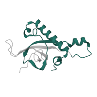 The deposited structure of PDB entry 6mtd contains 1 copy of Pfam domain PF01777 (Ribosomal L27e protein family) in 60S ribosomal protein L27. Showing 1 copy in chain BA [auth Z].