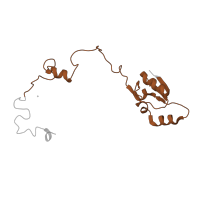 The deposited structure of PDB entry 6mtd contains 1 copy of Pfam domain PF00828 (Ribosomal proteins 50S-L15, 50S-L18e, 60S-L27A) in Large ribosomal subunit protein uL15. Showing 1 copy in chain CA [auth a].