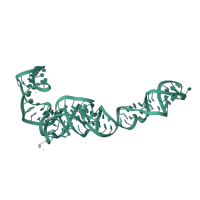 The deposited structure of PDB entry 6mtd contains 1 copy of Rfam domain RF00001 (5S ribosomal RNA) in 5S ribosomal RNA. Showing 1 copy in chain B [auth 7].