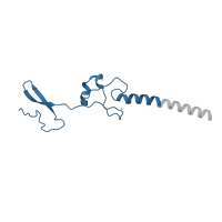 The deposited structure of PDB entry 6mtd contains 1 copy of Pfam domain PF01199 (Ribosomal protein L34e) in Large ribosomal subunit protein eL34. Showing 1 copy in chain IA [auth g].