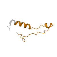 The deposited structure of PDB entry 6mtd contains 1 copy of Pfam domain PF00832 (Ribosomal L39 protein) in Ribosomal protein L39. Showing 1 copy in chain NA [auth l].