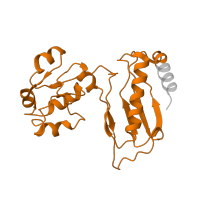 The deposited structure of PDB entry 6mtd contains 1 copy of Pfam domain PF00687 (Ribosomal protein L1p/L10e family) in Ribosomal protein. Showing 1 copy in chain VA [auth u].