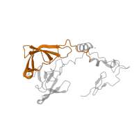 The deposited structure of PDB entry 6mtd contains 1 copy of Pfam domain PF00181 (Ribosomal Proteins L2, RNA binding domain) in Large ribosomal subunit protein uL2. Showing 1 copy in chain D [auth A].