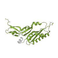 The deposited structure of PDB entry 6mtd contains 1 copy of Pfam domain PF01015 (Ribosomal S3Ae family) in Small ribosomal subunit protein eS1. Showing 1 copy in chain AB [auth BB].