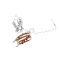 The deposited structure of PDB entry 6mtd contains 1 copy of Pfam domain PF00189 (Ribosomal protein S3, C-terminal domain) in Small ribosomal subunit protein uS3. Showing 1 copy in chain CB [auth DD].