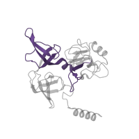 The deposited structure of PDB entry 6mtd contains 1 copy of Pfam domain PF00900 (Ribosomal family S4e) in Small ribosomal subunit protein eS4. Showing 1 copy in chain DB [auth EE].