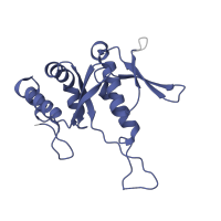 The deposited structure of PDB entry 6mtd contains 1 copy of Pfam domain PF01251 (Ribosomal protein S7e) in Small ribosomal subunit protein eS7. Showing 1 copy in chain GB [auth HH].