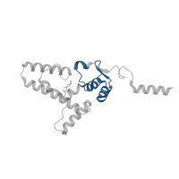 The deposited structure of PDB entry 6mtd contains 1 copy of Pfam domain PF01479 (S4 domain) in Small ribosomal subunit protein uS4. Showing 1 copy in chain IB [auth JJ].