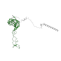 The deposited structure of PDB entry 6mtd contains 1 copy of Pfam domain PF00573 (Ribosomal protein L4/L1 family) in Large ribosomal subunit protein uL4. Showing 1 copy in chain F [auth C].