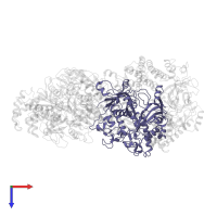 CRISPR system Cms endoribonuclease Csm3 in PDB entry 6mur, assembly 1, top view.