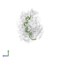 RNA (27-MER) in PDB entry 6mur, assembly 1, side view.