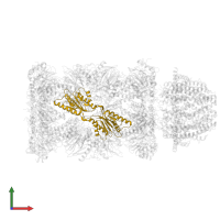 Proteasome subunit beta in PDB entry 6mux, assembly 1, front view.